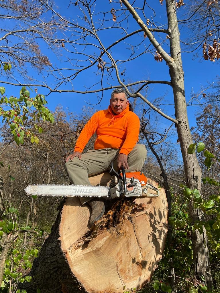 Sanchez Tree Service crew on a job in Shelby County, KY