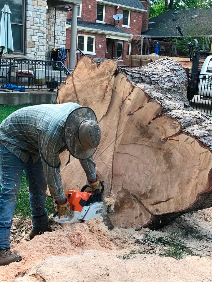 Sanchez Tree Service completed job in Shelbyville, KY — photo 7