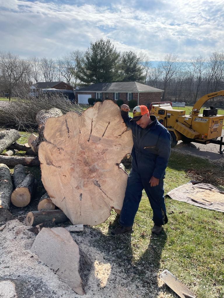 Sanchez Tree Service completed job in Shelbyville, KY — photo 8