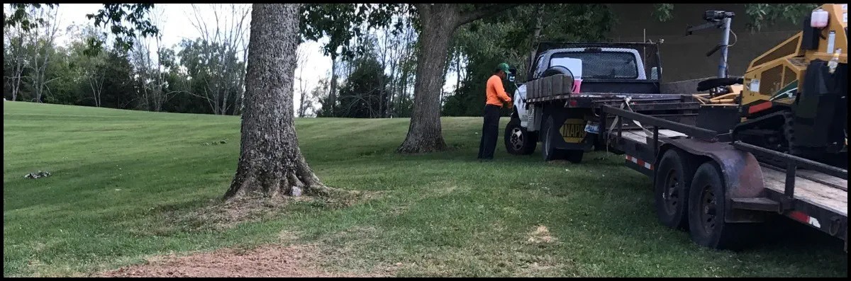 Sanchez Tree Service completed job in Shelbyville, KY — photo 19