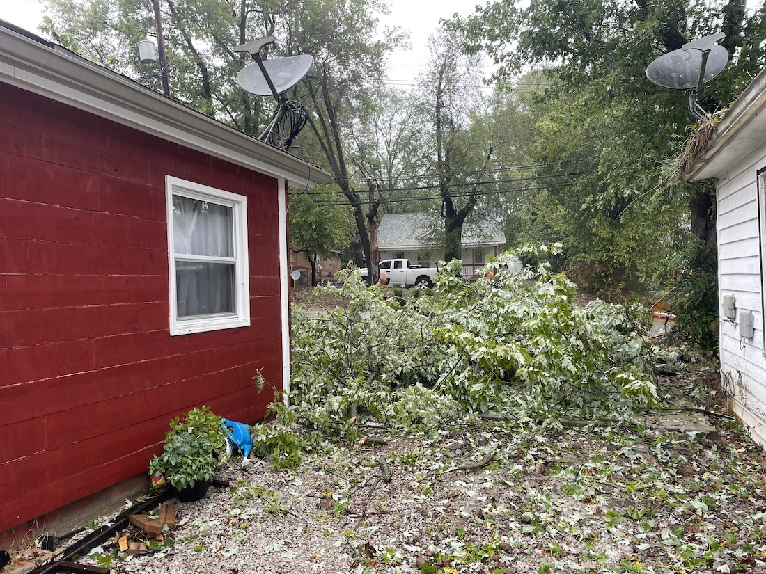 Tree trimming and removal job in Shelby County, KY